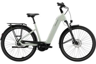 Pegasus Solero EVO 7F Belt 600wh