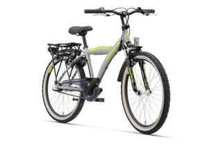 Batavus Snake-24