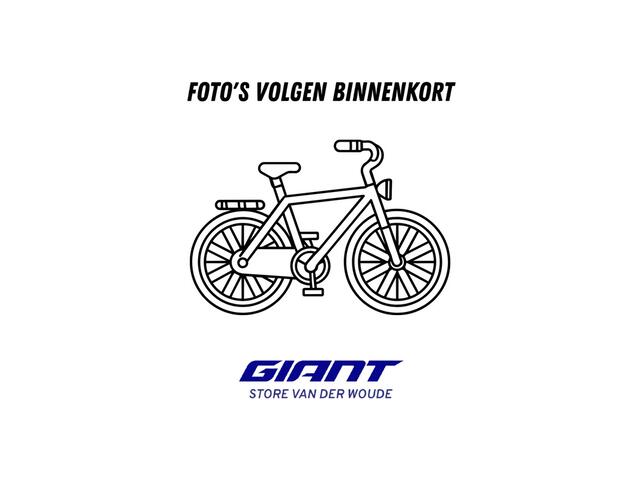 Giant Dailytour E+ 1 7454km 625wh