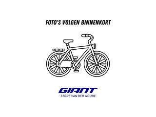 Giant Dailytour E+ 1 5140km 625wh