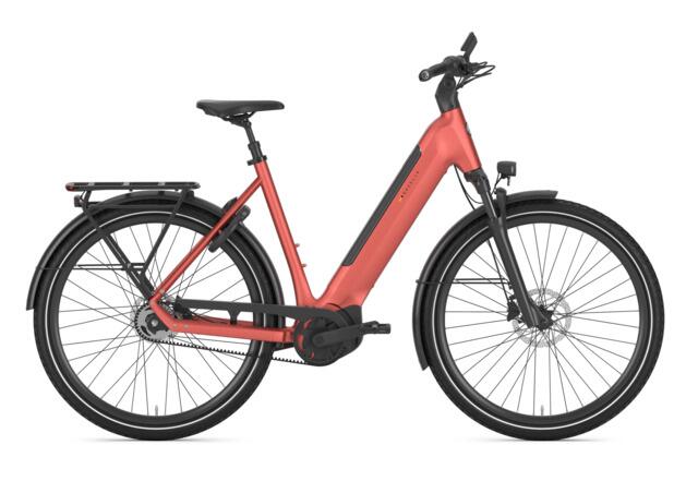 Gazelle Ultimate C5+