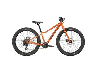 Cannondale Kids Trail Plus FOR