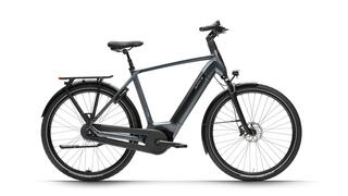 Dutch Id Infinity2 S50 N8 H53 Intuvia Ant