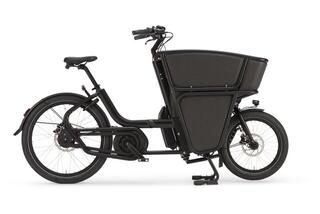 Urban Shorty Performance Line