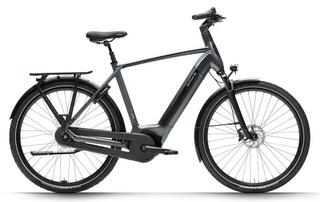 Dutch Id Infinity2 S50