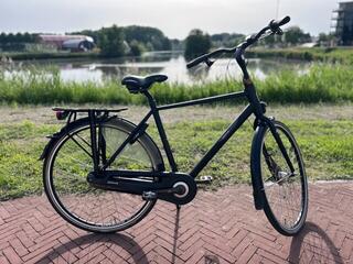 Batavus WAYZ