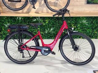Trek Verve