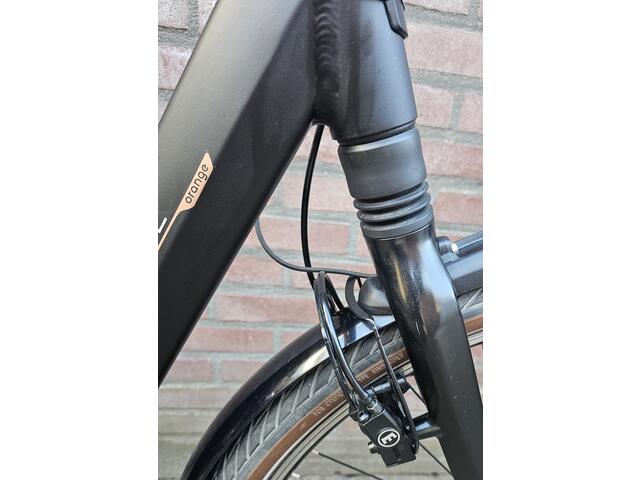 Gazelle Orange C8 HMB 28