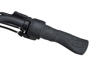 Batavus Finez PT Exclusive Plus 2