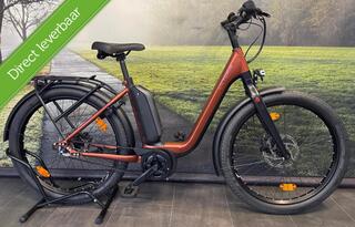 Victoria E-Urban 11.8 | �1.150 Korting | RIEM | L