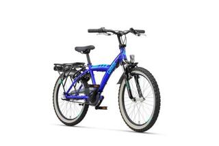 Batavus Snake 22