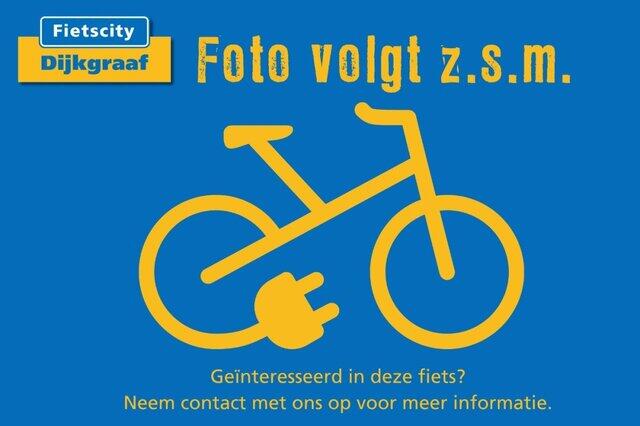 Batavus Finez E-go Power | D57 | 400WH