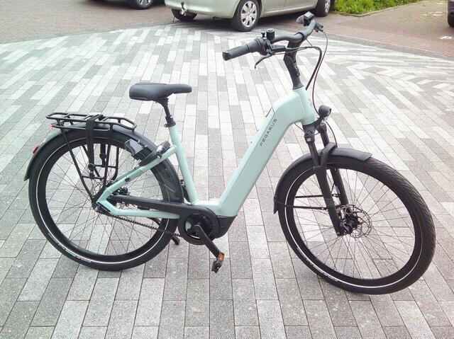 Pegasus Ravenna EVO 8F Belt  accu 540 WH 