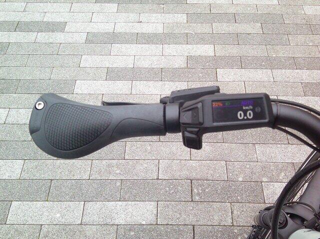 Pegasus Ravenna EVO 8F Belt  accu 540 WH 