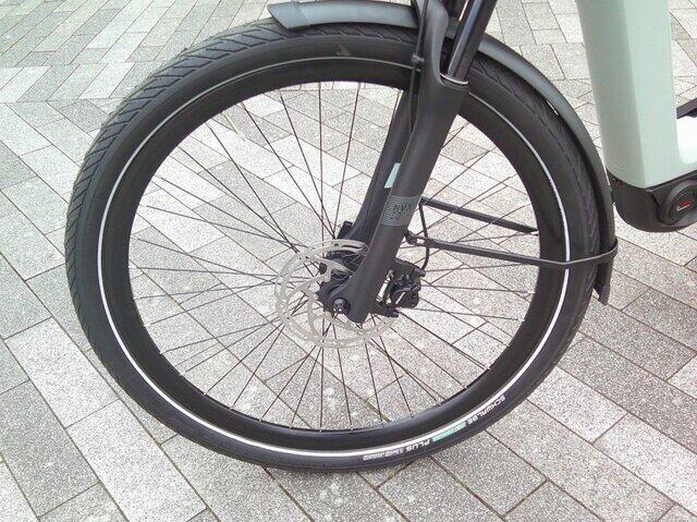Pegasus Ravenna EVO 8F Belt  accu 540 WH 
