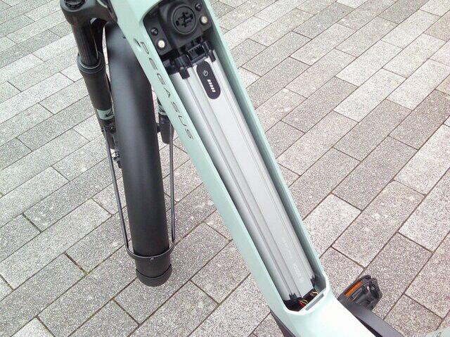Pegasus Ravenna EVO 8F Belt  accu 540 WH 