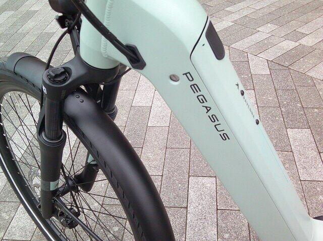 Pegasus Ravenna EVO 8F Belt  accu 540 WH 