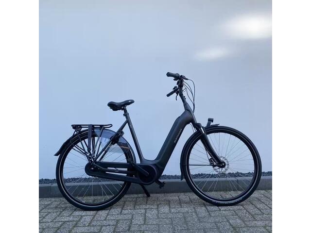 Batavus Finez E-go Power