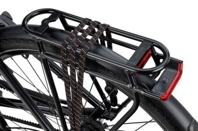 Batavus Senz Exclusive