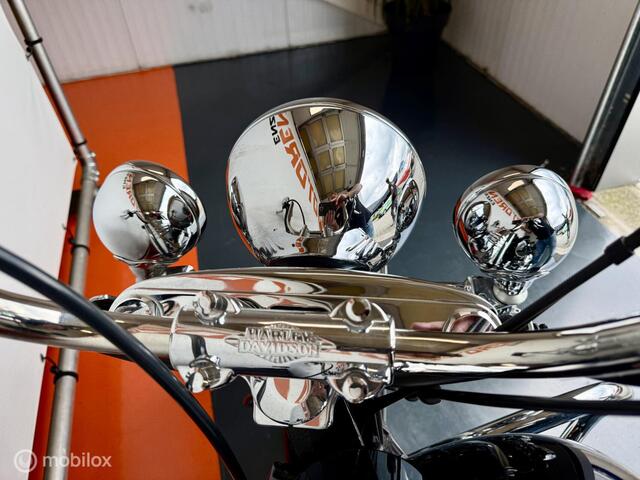 Harley Davidson 96 FLSTC Heritage Classic